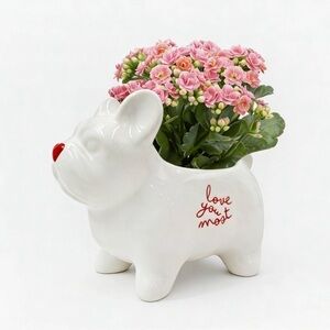 Target Valentine’s Day white Frenchie Dog Planter “Love you Most” Brand New